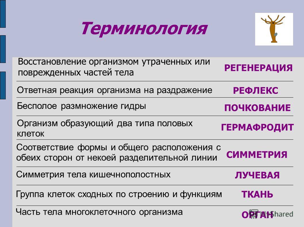 Kra15.gl